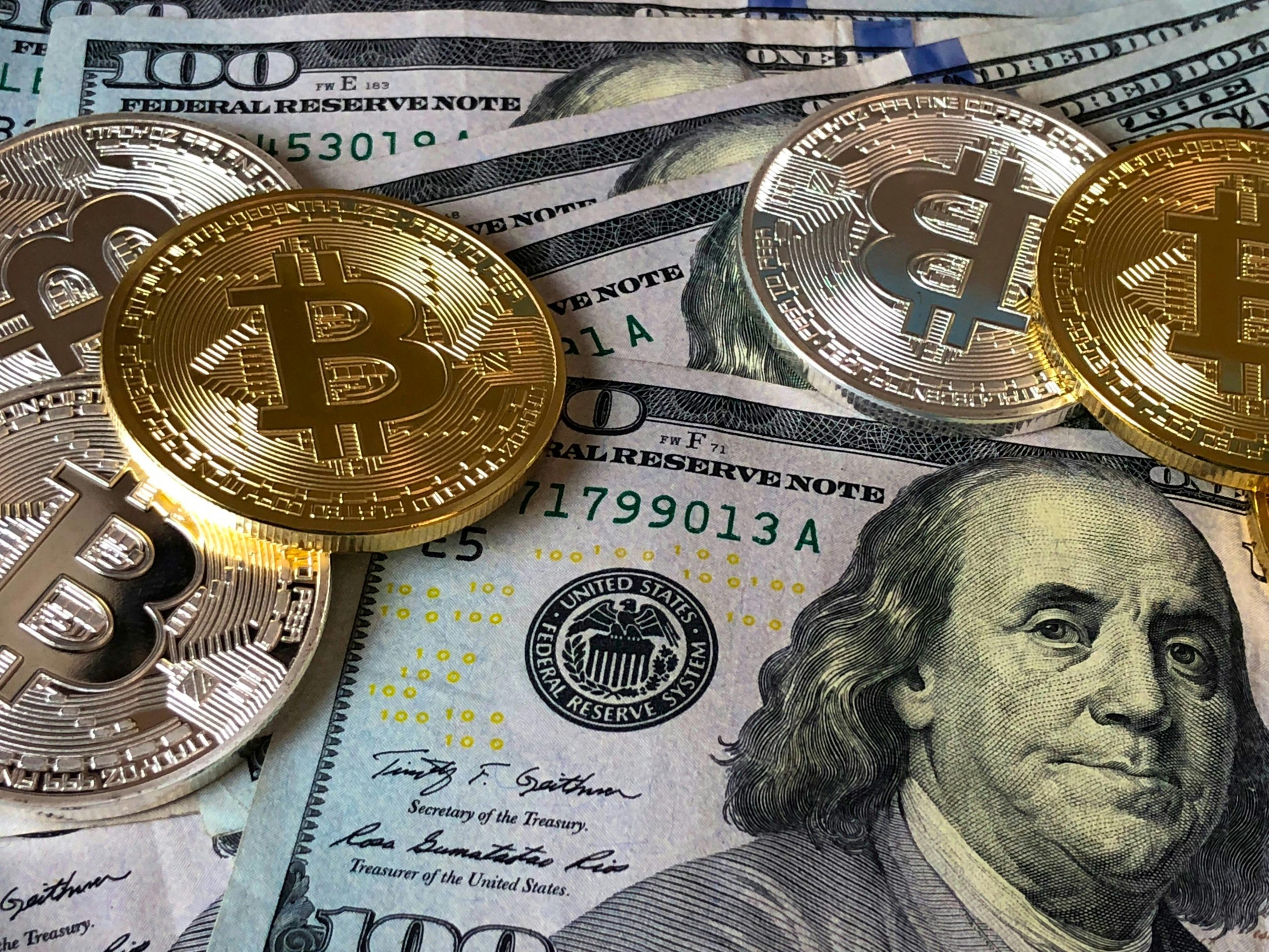 Economic Platform and Policy Freedom